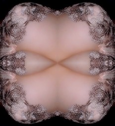 26