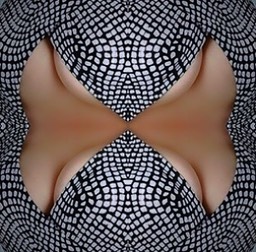 64