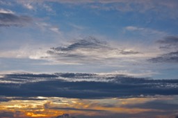 _MG_0019