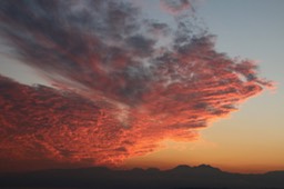 IMG_0123 (1)
